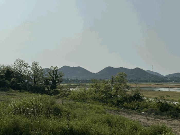 전라남도 신안군 도초면 지남리 산78 임야 경매 사진 5