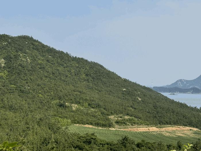 전라남도 신안군 도초면 지남리 산78 임야 경매 사진 6
