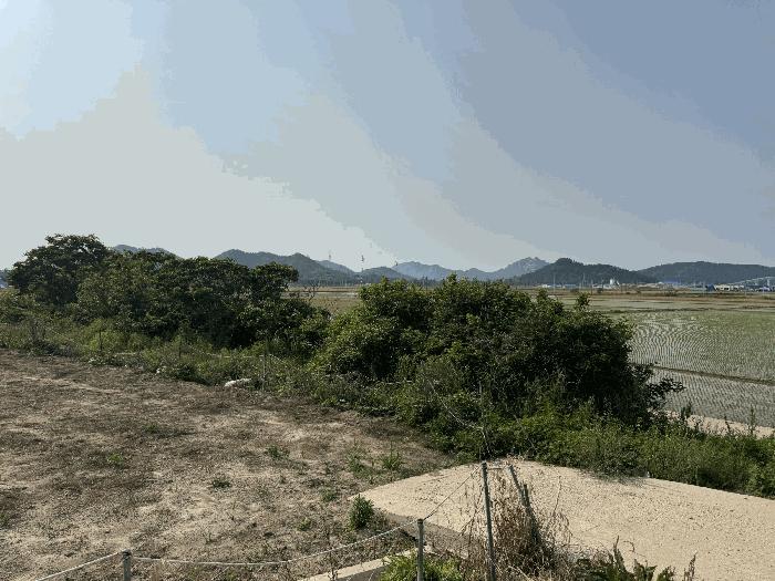 전라남도 신안군 도초면 지남리 산78 임야 경매 사진 8