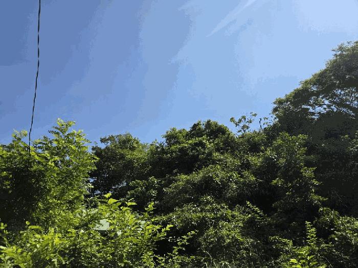 전라남도 신안군 지도읍 자동리 899-1 답 경매 사진 1