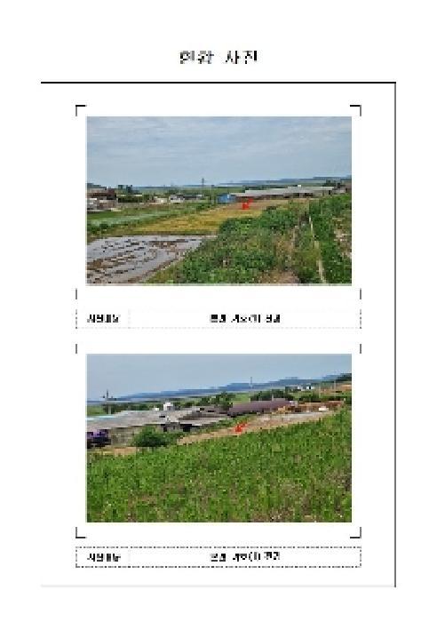 전라남도 신안군 지도읍 자동리 899-1 답 경매 사진 11
