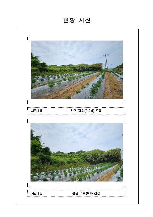 전라남도 신안군 지도읍 자동리 954 전 경매 사진 15