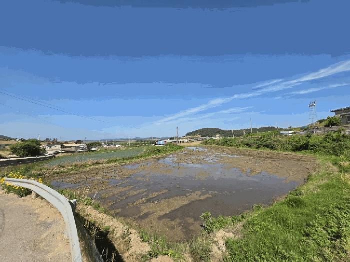 전라남도 신안군 지도읍 자동리 1040 전 경매 사진 2
