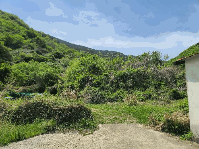 경상남도 고성군 답