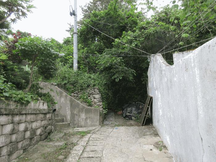 경상남도 통영시 도천동 889 임야 경매 사진 10