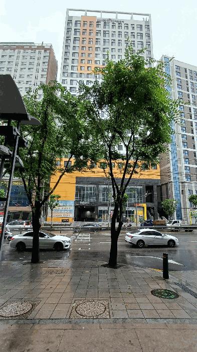 서울특별시 구로구 오류동 31-280 구로예미지어반코어 제1층 제109호 근린상가 경매 사진 3