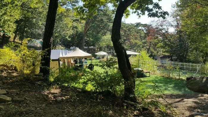 서울특별시 강북구 우이동 산80 임야 경매 사진 4