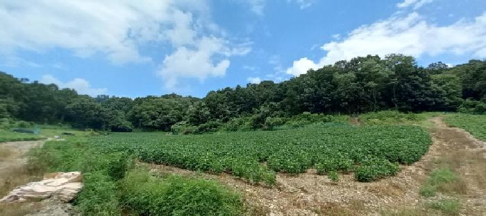 경기도 연천군 중면 횡산리 산189 임야 경매 사진 2
