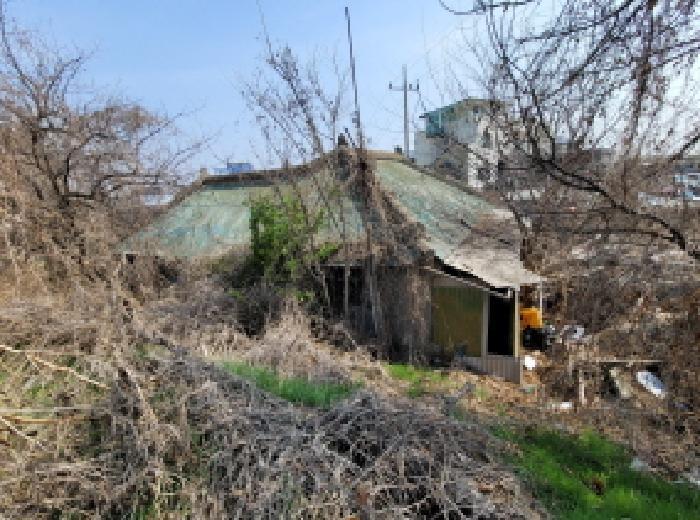 경기도 김포시 통진읍 도사리 501 묘지 경매 사진 17