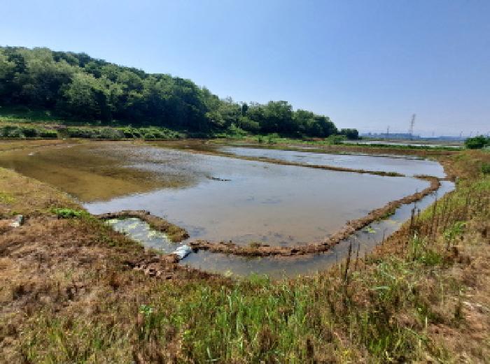 충청남도 당진시 송악읍 월곡리 375 답 경매 사진 12