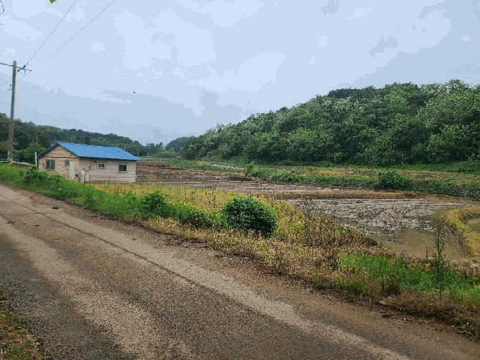 충청남도 당진시 송악읍 월곡리 375 답 경매 사진 5