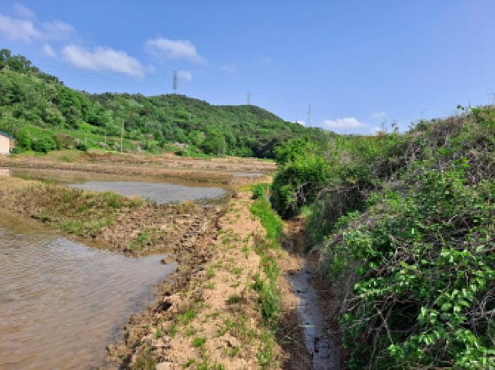 충청남도 당진시 송악읍 월곡리 379 답 경매 사진 15