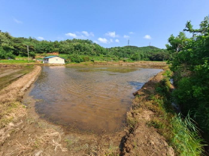 충청남도 당진시 송악읍 월곡리 379 답 경매 사진 16