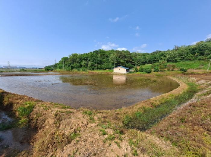 충청남도 당진시 송악읍 월곡리 379 답 경매 사진 17