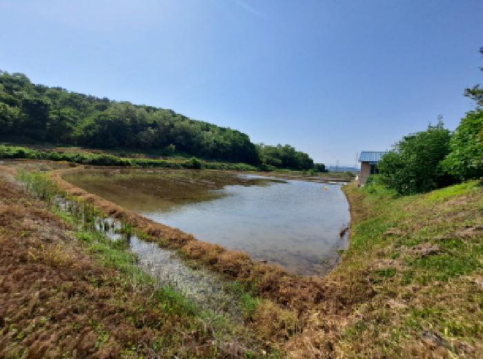 충청남도 당진시 송악읍 월곡리 379 답 경매 사진 18