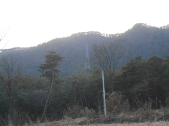 충청북도 진천군 이월면 노원리 산33-3 임야 경매 사진 12