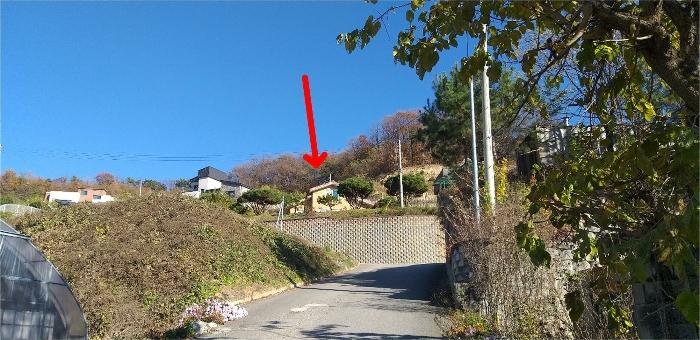 충청북도 진천군 이월면 노원리 산33-3 임야 경매 사진 6