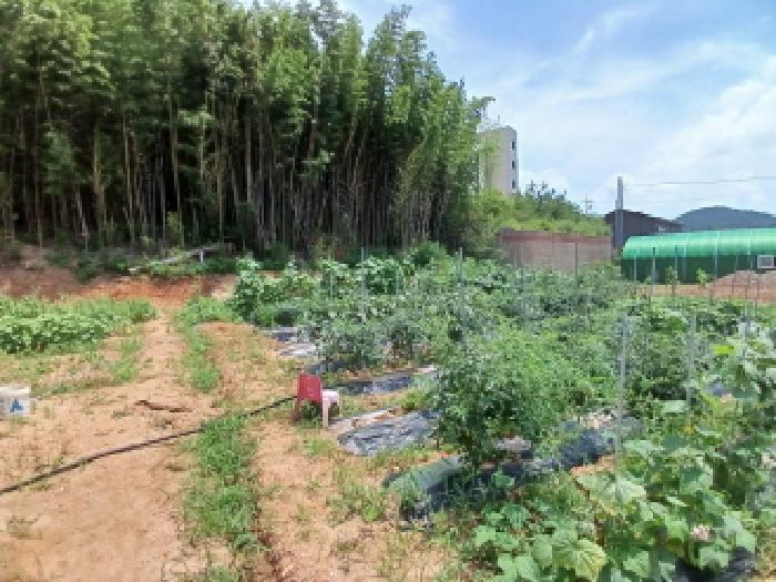 충청남도 서산시 대산읍 대로리 230-2 임야 경매 사진 14