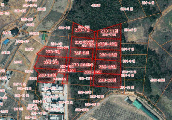 충청남도 서산시 대산읍 대로리 230-2 임야 경매 사진 18