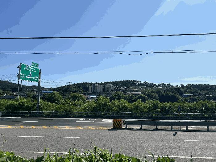 충청남도 서산시 대산읍 대로리 230-2 임야 경매 사진 2