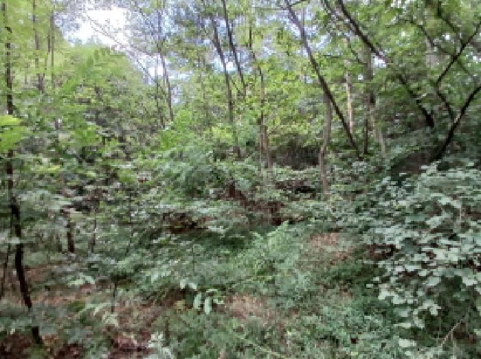 충청남도 서산시 대산읍 대로리 230-2 임야 경매 사진 23