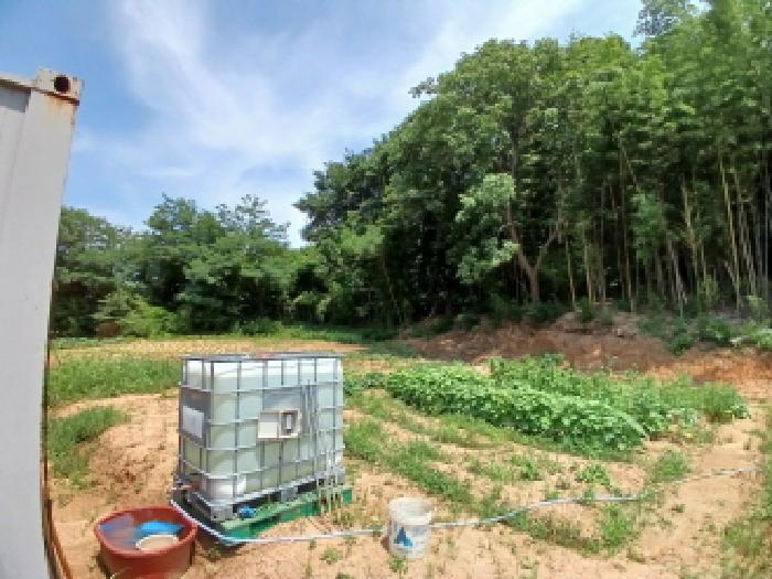 충청남도 서산시 대산읍 대로리 230-2 임야 경매 사진 24