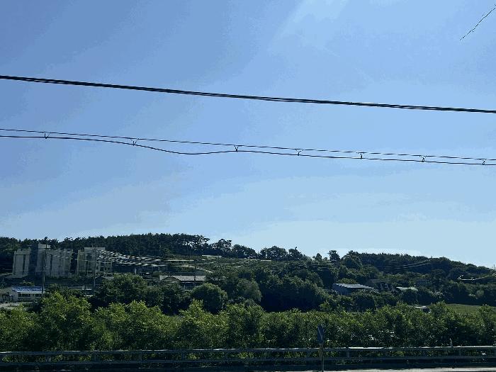 충청남도 서산시 대산읍 대로리 230-2 임야 경매 사진 4