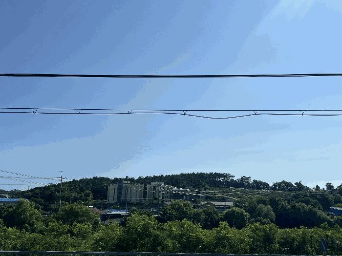 충청남도 서산시 대산읍 대로리 230-2 임야 경매 사진 5