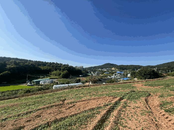 충청남도 서산시 대산읍 대로리 230-2 임야 경매 사진 7