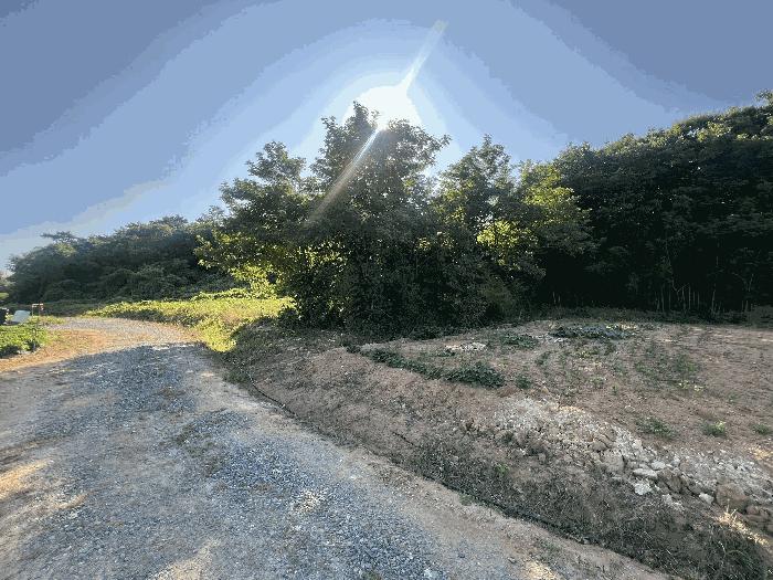 충청남도 서산시 대산읍 대로리 230-2 임야 경매 사진 9