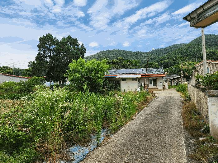 충청북도 괴산군 불정면 웅동리 산41-5 임야 경매 사진 9