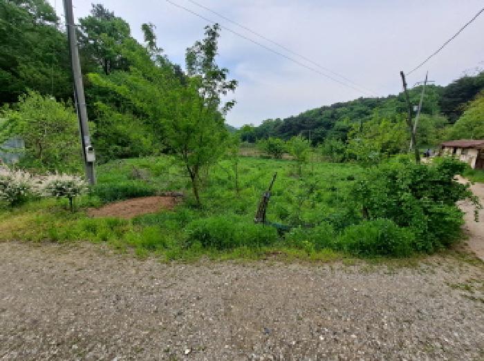 충청남도 당진시 시곡동 758-2 답 경매 사진 11