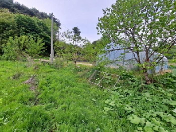 충청남도 당진시 시곡동 758-2 답 경매 사진 12