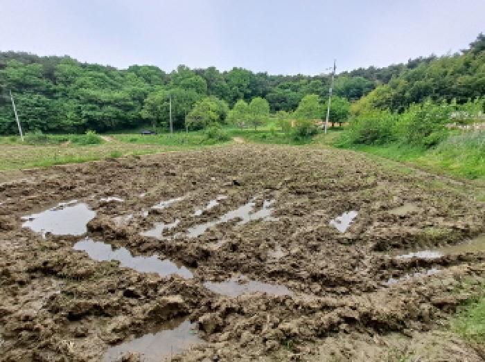 충청남도 당진시 시곡동 758-2 답 경매 사진 16