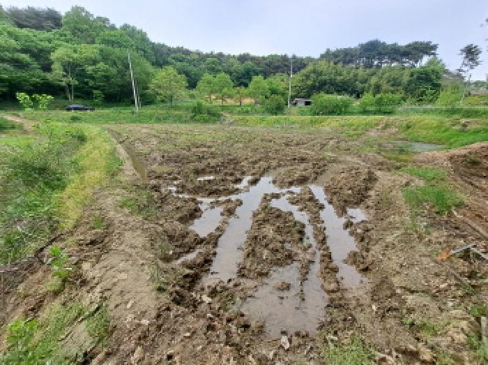 충청남도 당진시 시곡동 758-2 답 경매 사진 19