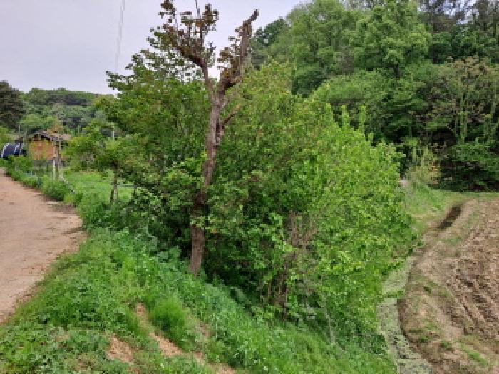 충청남도 당진시 시곡동 758-2 답 경매 사진 8