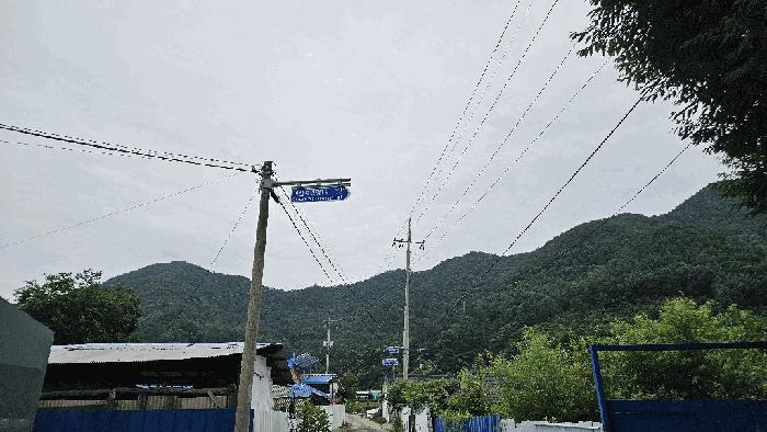 충청북도 괴산군 청천면 강평리 산7-2 임야 경매 사진 3