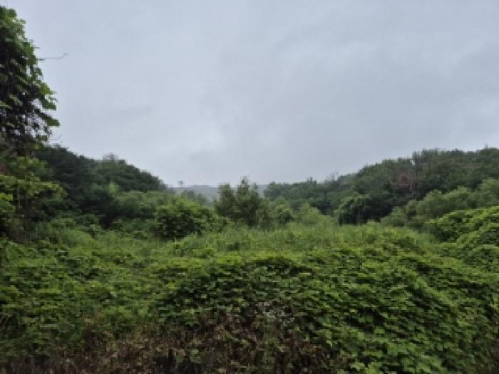 경상북도 경주시 천북면 화산리 923 답 경매 사진 4