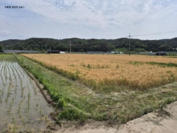 경상북도 경주시 천북면 덕산리 353-1 답 경매 사진 9