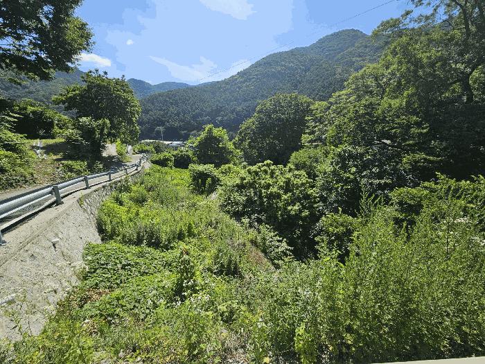 경상북도 경주시 건천읍 송선리 959 전 경매 사진 2