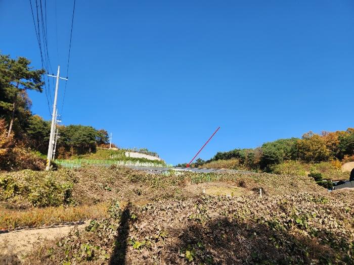경상북도 예천군 잡종지