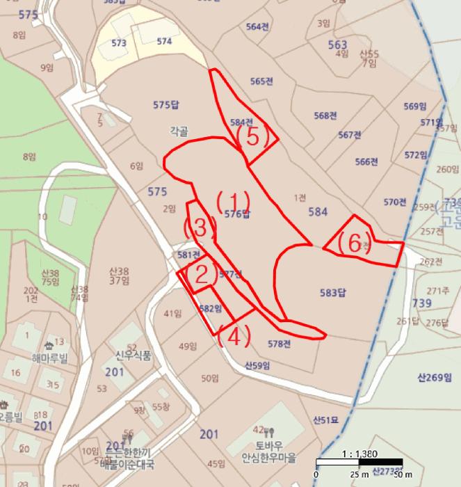 세종특별자치시 장군면 봉안리 576 전 경매 사진 19