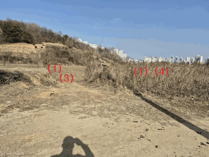 세종특별자치시 장군면 봉안리 576 전 경매 사진 2