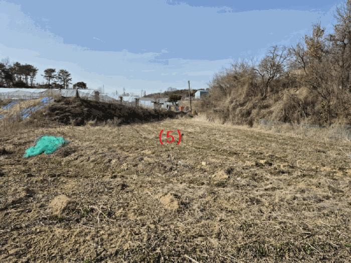 세종특별자치시 장군면 봉안리 576 전 경매 사진 3