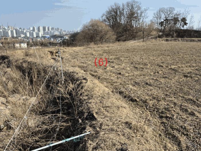 세종특별자치시 장군면 봉안리 576 전 경매 사진 8