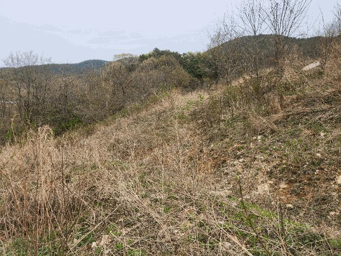 충청남도 예산군 예산읍 산성리 86-1 답 경매 사진 10