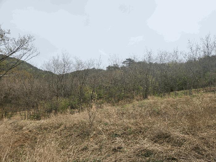충청남도 예산군 예산읍 산성리 86-1 답 경매 사진 3