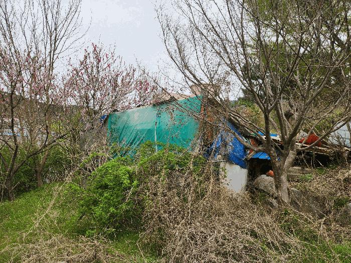 충청남도 예산군 예산읍 산성리 86-1 답 경매 사진 7