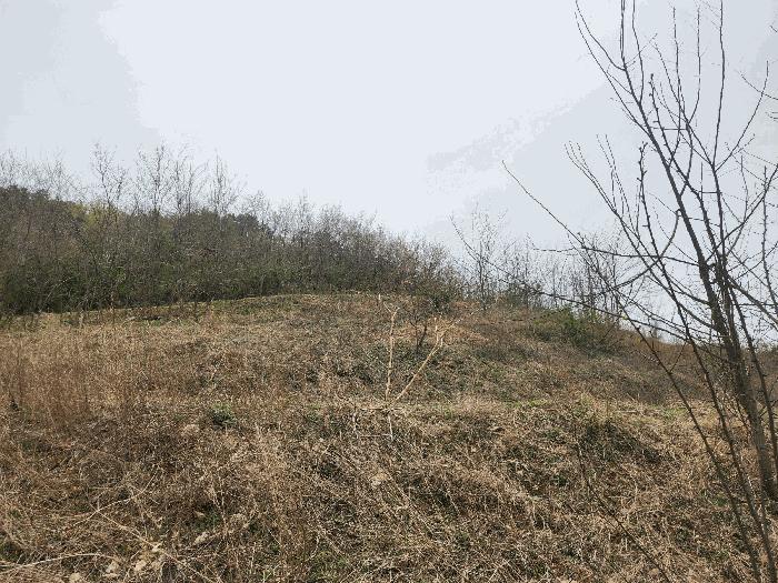충청남도 예산군 예산읍 산성리 86-1 답 경매 사진 9