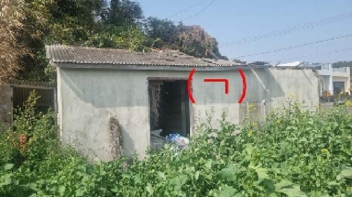 제주특별자치도 서귀포시 표선면 세화리 303-1 전 경매 사진 10